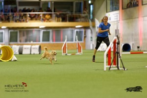 1T0A0615-2_DxO