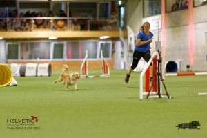1T0A0616-2_DxO