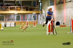1T0A0617-2_DxO