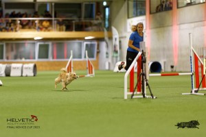 1T0A0618-2_DxO