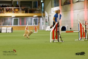 1T0A0619-2_DxO