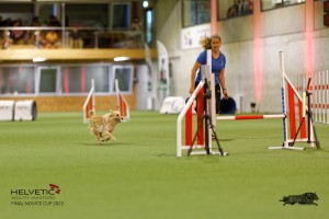 1T0A0620-2_DxO