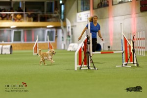 1T0A0621-2_DxO