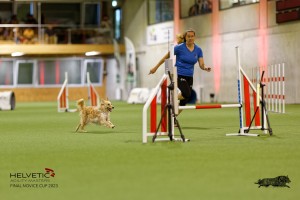 1T0A0622-2_DxO