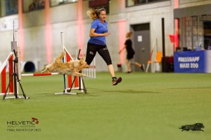 1T0A0628-2_DxO