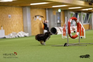 1T0A0687-2_DxO