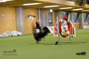 1T0A0688-2_DxO