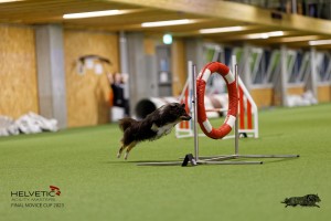 1T0A0689-2_DxO