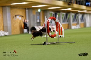 1T0A0690-2_DxO