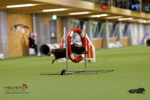 1T0A0691-2_DxO