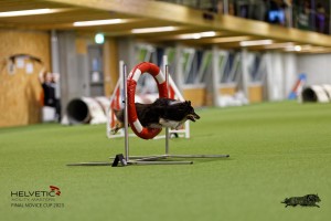 1T0A0692-2_DxO