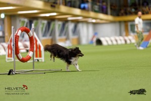 1T0A0695-2_DxO