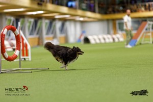 1T0A0696-2_DxO