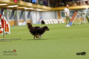 1T0A0697-2_DxO