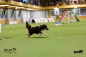 1T0A0698-2_DxO