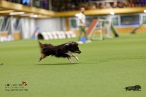 1T0A0699-2_DxO