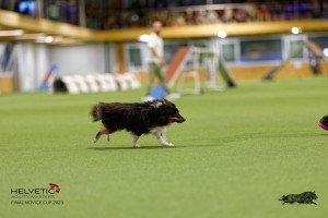 1T0A0700-2_DxO
