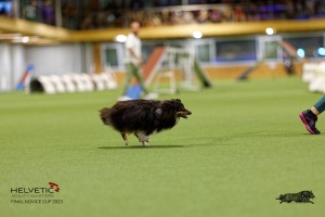 1T0A0701-2_DxO