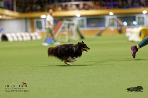 1T0A0702-2_DxO