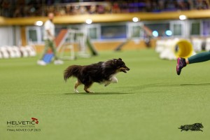 1T0A0703-2_DxO