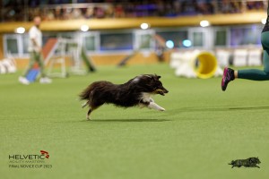 1T0A0704-2_DxO