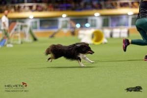 1T0A0705-2_DxO