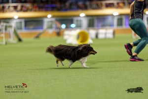 1T0A0706-2_DxO