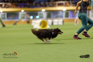 1T0A0707-2_DxO
