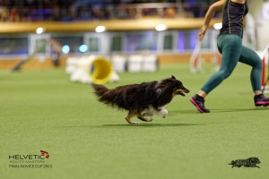 1T0A0708-2_DxO