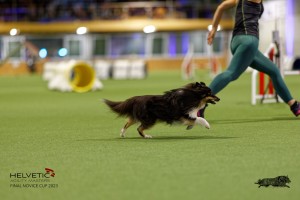 1T0A0709-2_DxO