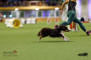 1T0A0710-2_DxO