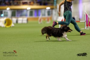 1T0A0711-2_DxO