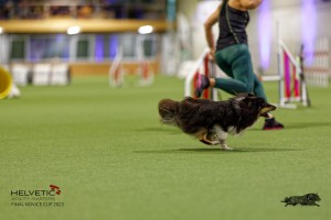 1T0A0712-2_DxO