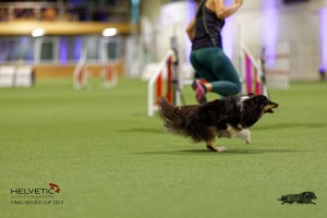 1T0A0713-2_DxO