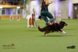 1T0A0714-2_DxO