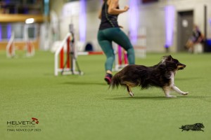 1T0A0715-2_DxO