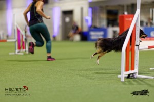 1T0A0720-2_DxO