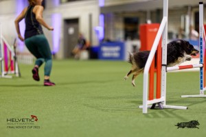 1T0A0721-2_DxO