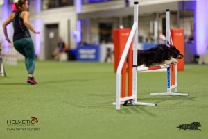 1T0A0722-2_DxO