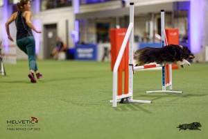 1T0A0723-2_DxO