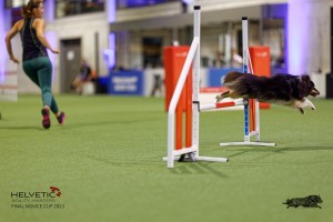 1T0A0724-2_DxO