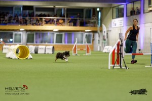 1T0A0749-2_DxO