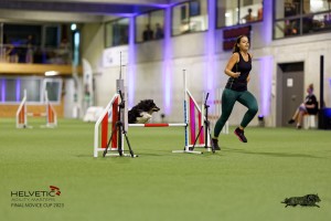 1T0A0763-2_DxO