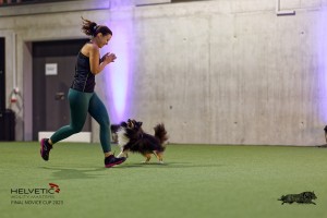 1T0A0803-2_DxO