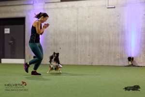1T0A0807-2_DxO
