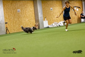 1T0A0850-2_DxO