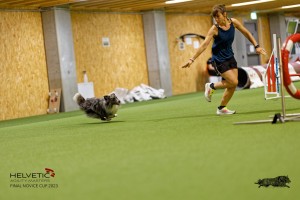 1T0A0851-2_DxO