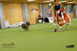 1T0A0856-2_DxO