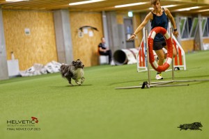 1T0A0857-2_DxO