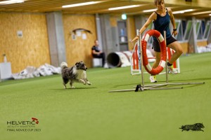 1T0A0858-2_DxO